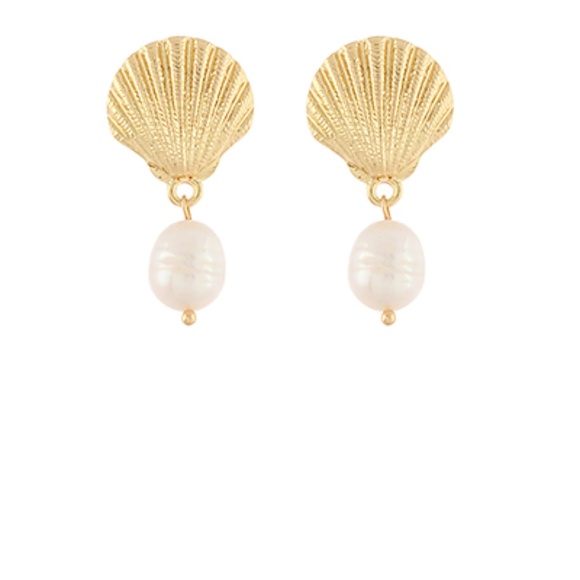 Sea Shell & Tearldrop Dangle Earrings - Picture 1 of 2